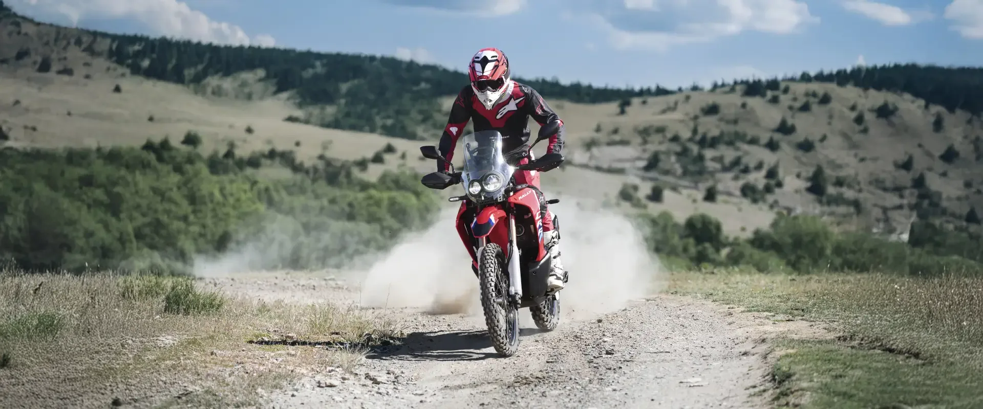 Honda CRF 250 Rally